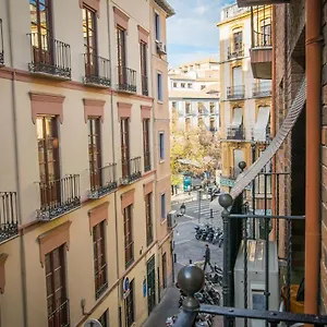 Ibericabeds Plaza Nueva 21 Appartamento Granada
